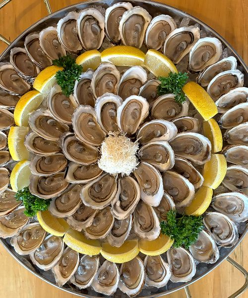 Carousel Image_0004_IMG_2523